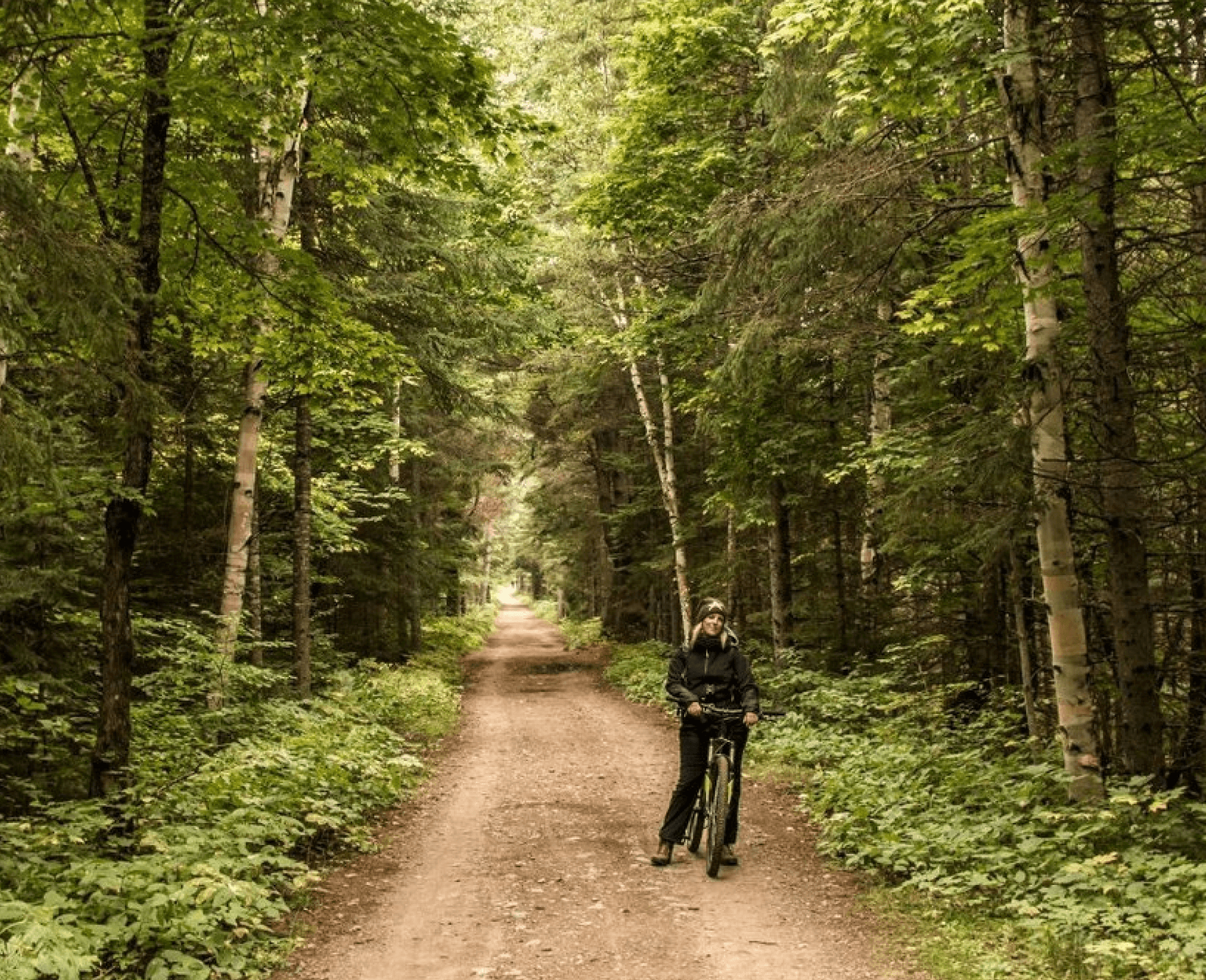 Recycling with Bandit - Bandit Bikes