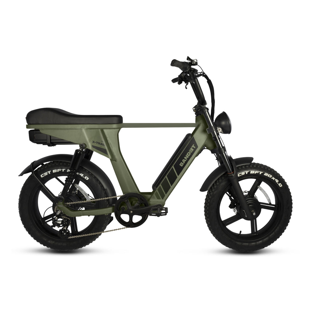 Electric Bike Youin BK1350B MARBELLA Blue 250 W 20