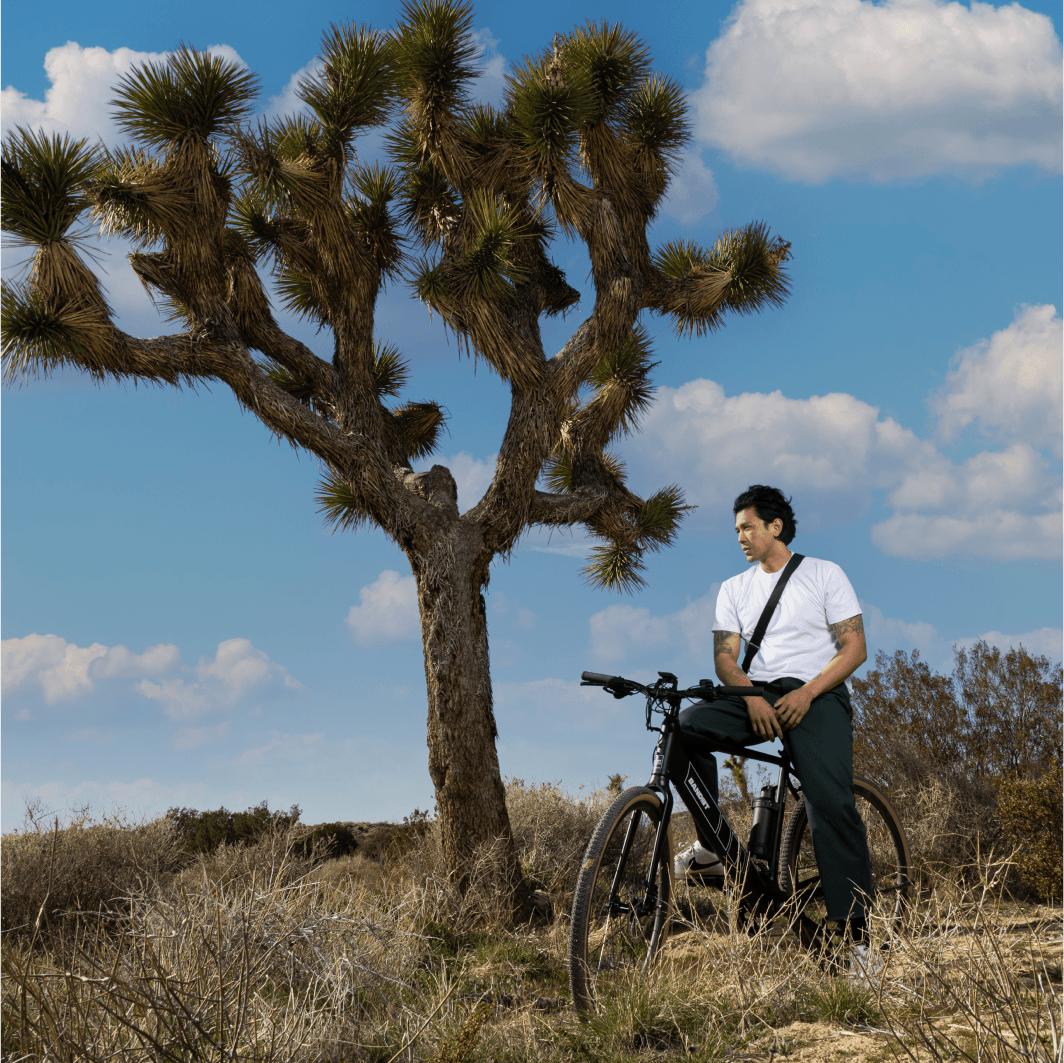 Traveler - Bandit Bikes